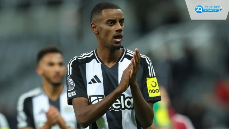 Soi kèo tỷ số Brentford vs Newcastle hôm nay 07/12: Nhận định, dự đoán kết quả Ngoại hạng Anh 2 soi-keo-ty-so-brentford-vs-newcastle-hom-nay-07-12